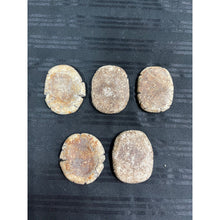 โหลดรูปภาพลงในเครื่องมือใช้ดูของ Gallery Thai Amulet Coin, Wat Rakhang, Somdej Style, Cultural Keepsake
Thai Amulet Coi