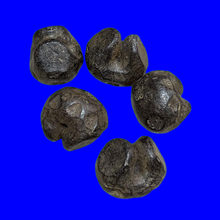 โหลดรูปภาพลงในเครื่องมือใช้ดูของ Gallery Vietnamese Dynasty Money - Rice Feeding Style Amulet Coin Cultural Keepsake Thai