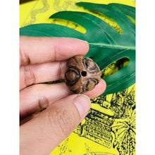 โหลดรูปภาพลงในเครื่องมือใช้ดูของ Gallery Thai Amulet Somdej Style With Three Sides, Random Selection, Cultural Keepsake