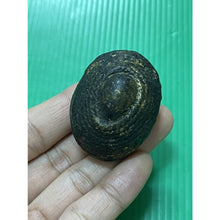โหลดรูปภาพลงในเครื่องมือใช้ดูของ Gallery Thai Amulet For Protection Against Negative Energies And Spells
Buddhist Monk