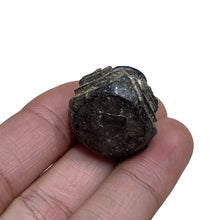 โหลดรูปภาพลงในเครื่องมือใช้ดูของ Gallery Thai Amulet Buddhist Monk For Compassion, Metal Edition