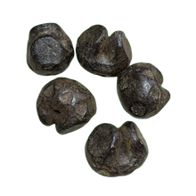 โหลดรูปภาพลงในเครื่องมือใช้ดูของ Gallery Vietnamese Dynasty Money - Rice Feeding Style Amulet Coin Cultural Keepsake Thai
