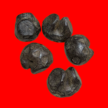 โหลดรูปภาพลงในเครื่องมือใช้ดูของ Gallery Vietnamese Dynasty Money - Rice Feeding Style Amulet Coin Cultural Keepsake Thai
