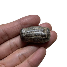 โหลดรูปภาพลงในเครื่องมือใช้ดูของ Gallery Thai Amulet Somdej Style Metal Coin Buddhist Monk Cultural Keepsake
