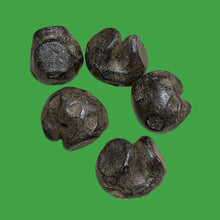 โหลดรูปภาพลงในเครื่องมือใช้ดูของ Gallery Vietnamese Dynasty Money - Rice Feeding Style Amulet Coin Cultural Keepsake
