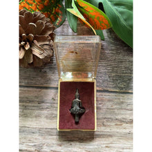 โหลดรูปภาพลงในเครื่องมือใช้ดูของ Gallery Thai Amulet Buddhist Monk From Wat Baan Rai, Original Box Included
