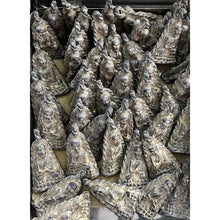 โหลดรูปภาพลงในเครื่องมือใช้ดูของ Gallery Thai Amulet Coin Buddhist Monk Wat Chang Hai Brass Material 
Thai A
